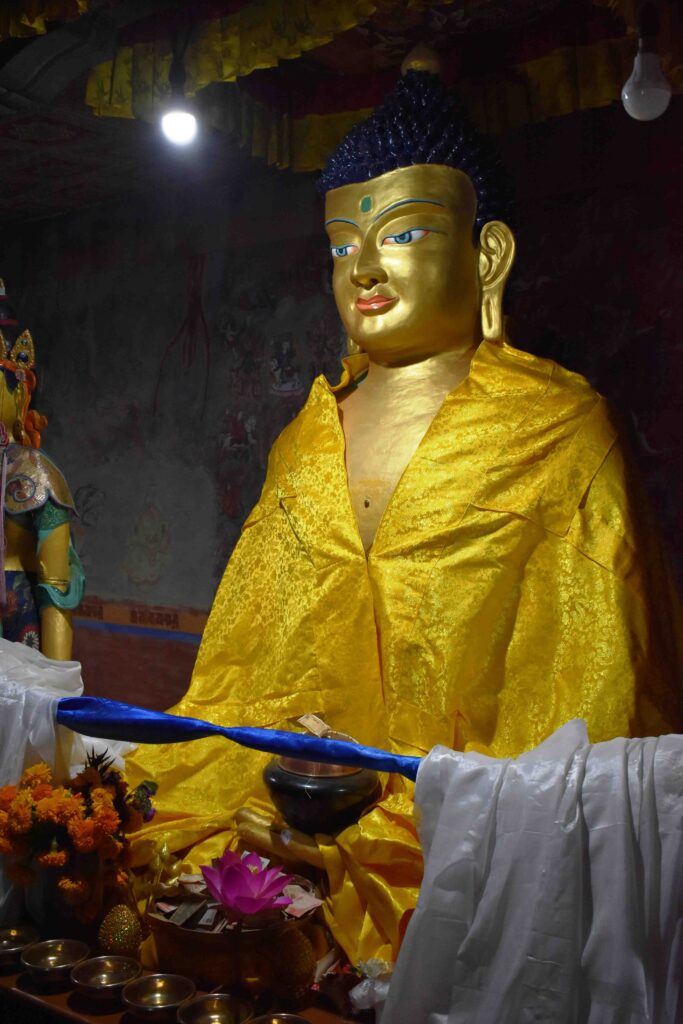 Sakyamuni Buddha (The Buddha of the past)