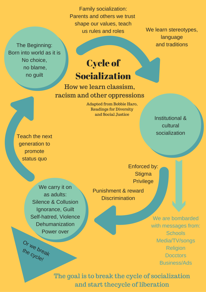 Cycle of socialization - Seniors Today