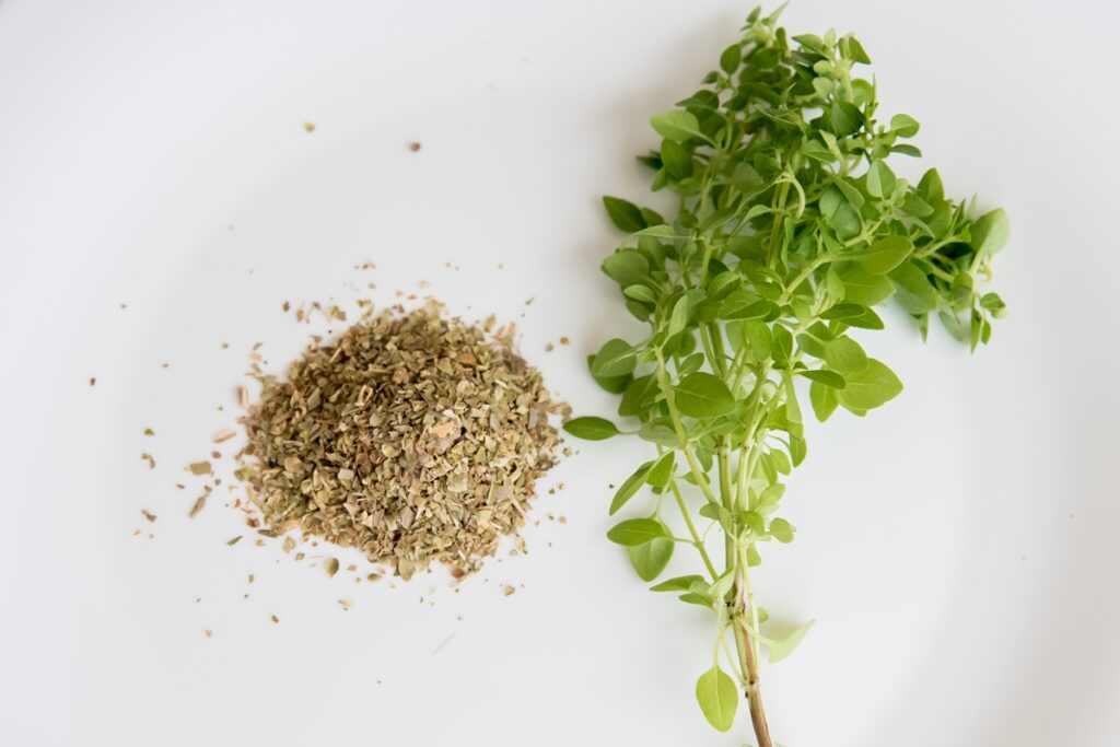 Dry basil and green leaves and fresh