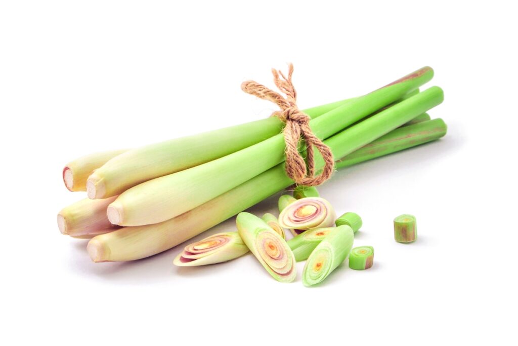 Lemongrass - 5 Useful Herbs You Can Grow and Use at Home – Part 2