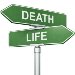 The Dance of Death in the Pirouette of Life - 1