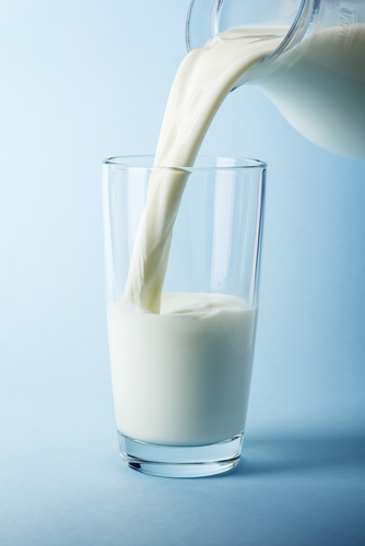 Dairy whole milk 