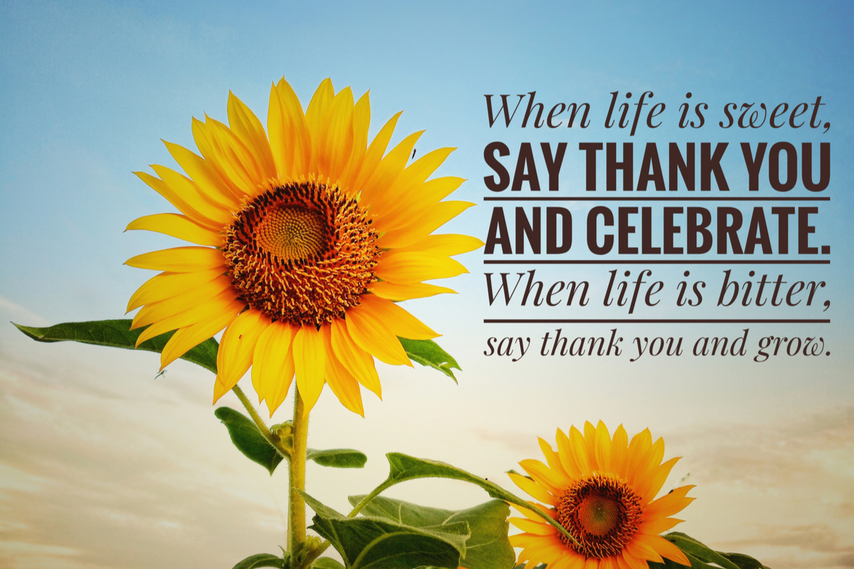 Your Daily Cup Of Gratitude - Seniors Today