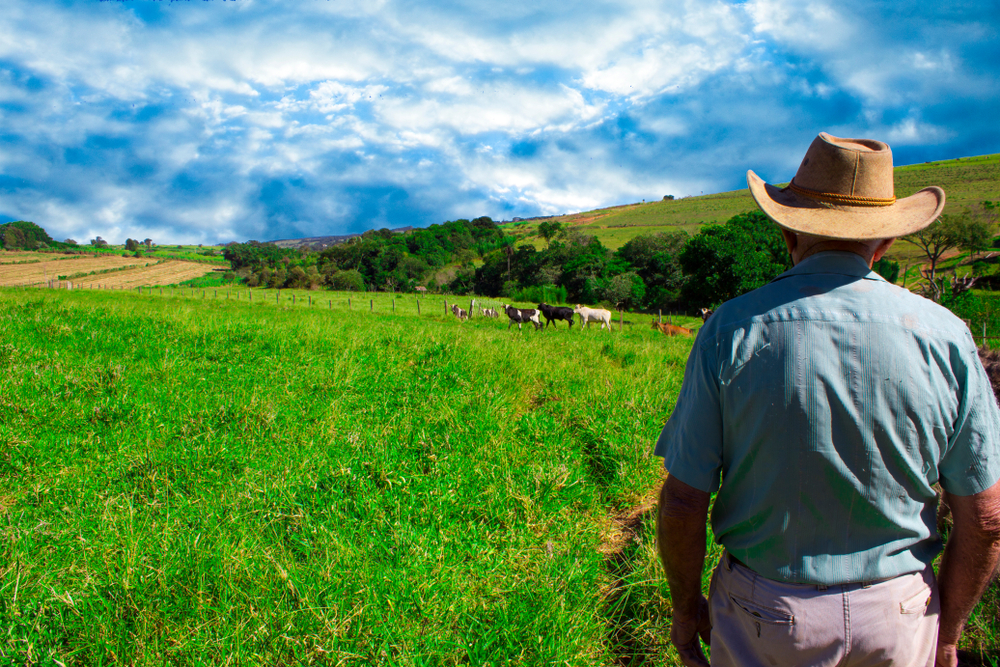 Into the field