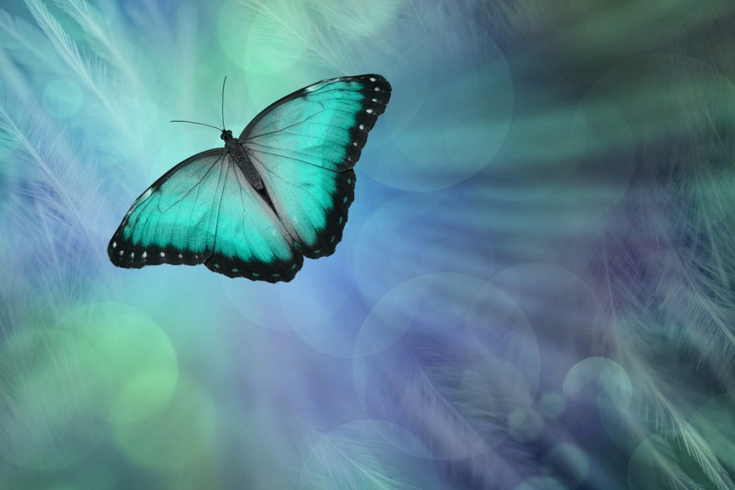 Coping With The Death Of A Loved One