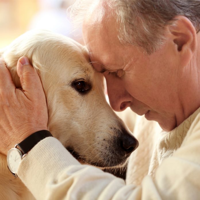 Connect & Lift Your Spirits with Dogs - Seniors Today