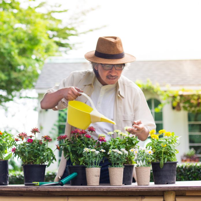 Benefits of gardening for seniors - Seniors Today