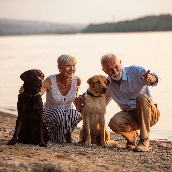 How to train your dog in basic ‘life’ skills - Seniors Today