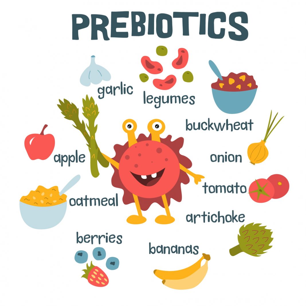 Prep your gut with prebiotics