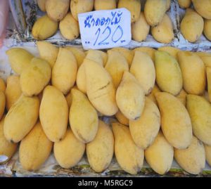  Nam Dok Mai Mangoes for Summer Seniors Today