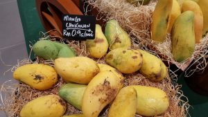  Chok Anan Mango for Summer Seniors Today