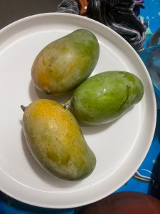 Amrapali Mango for Summer Season Seniors Today