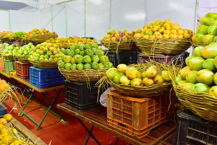 Mangoes in Diet Seniors Today