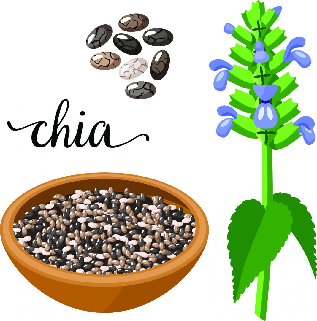 chia seeds