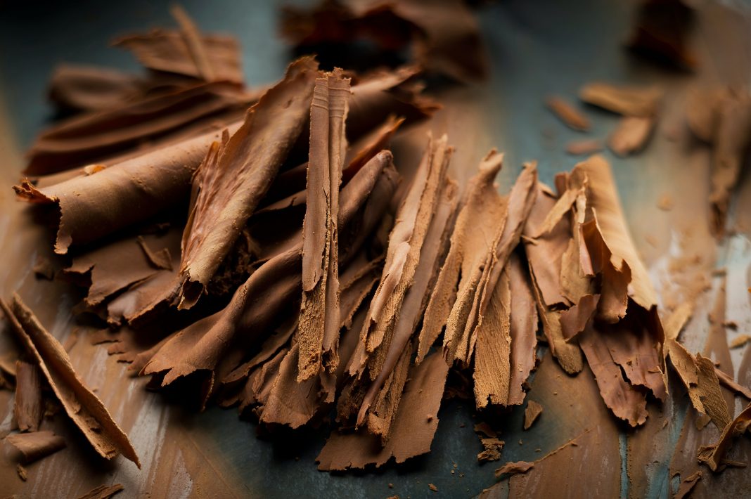 The history of chocolate