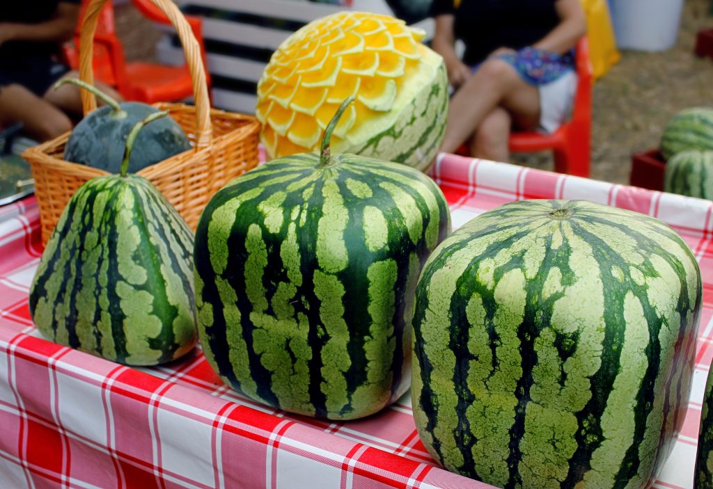 Square-watermelon