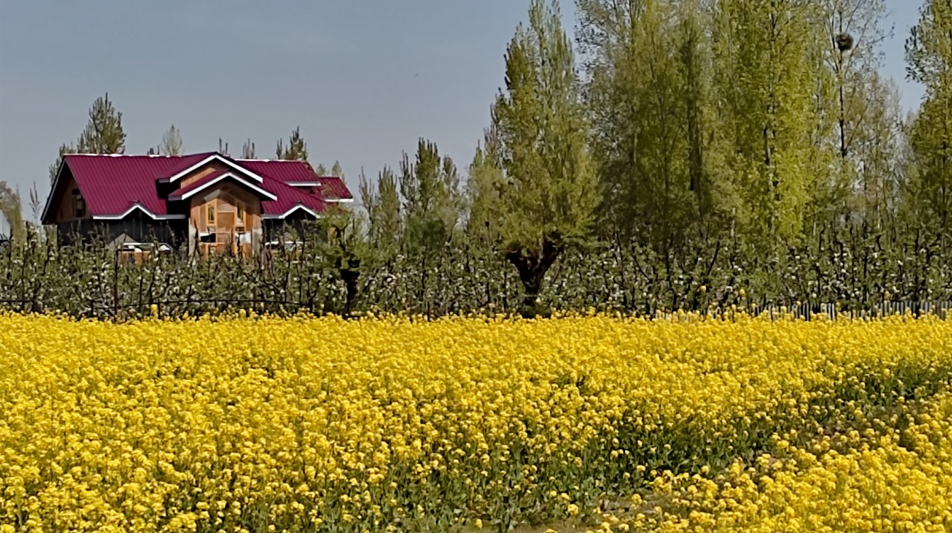Kashmir countryside