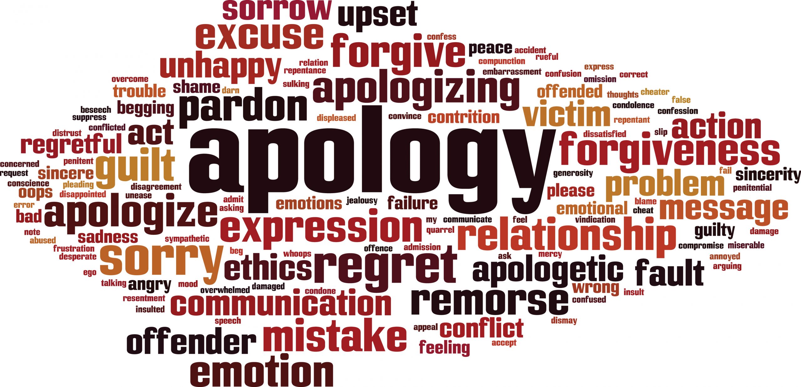 apology