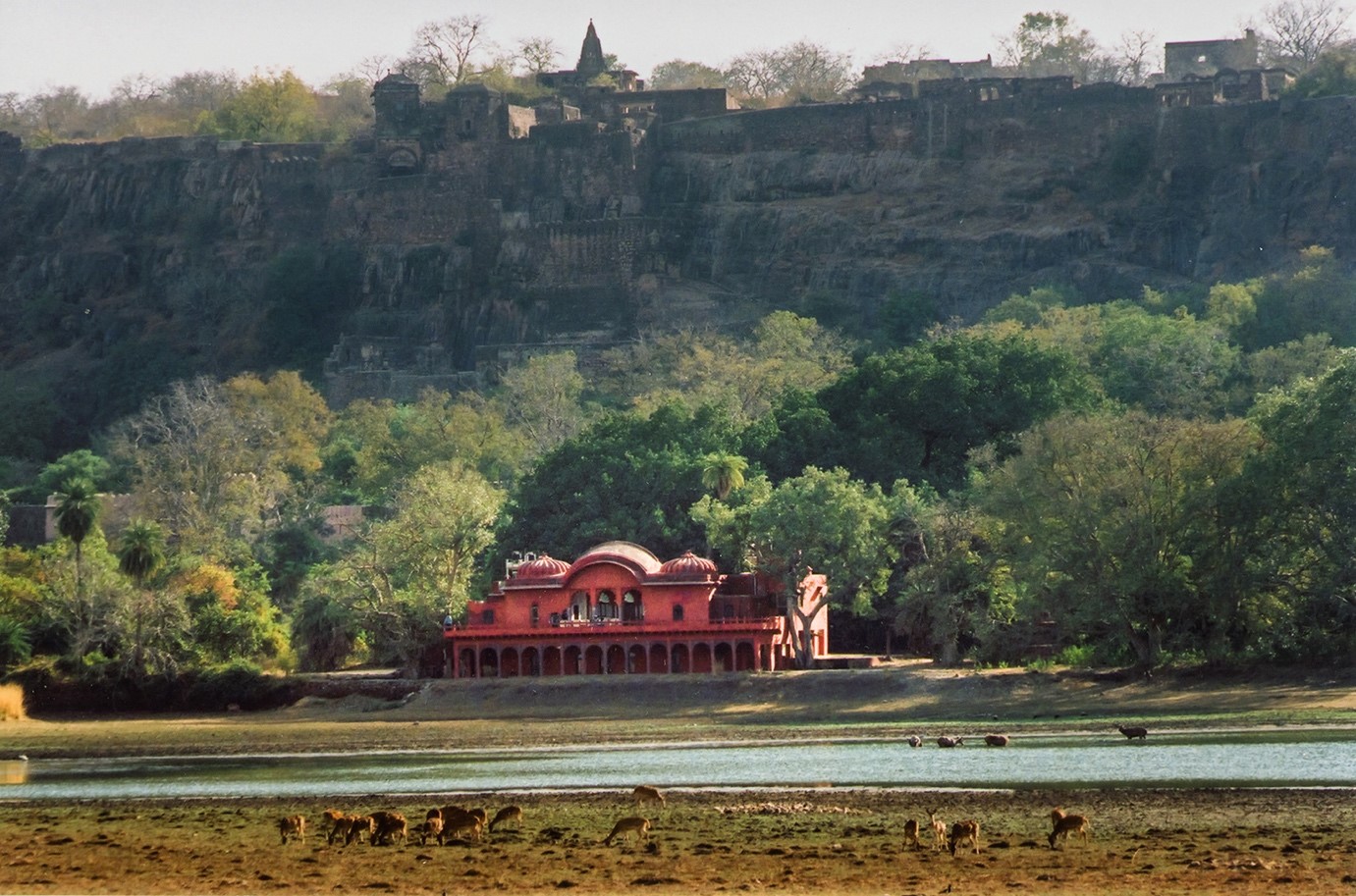 Ranthambhor fort