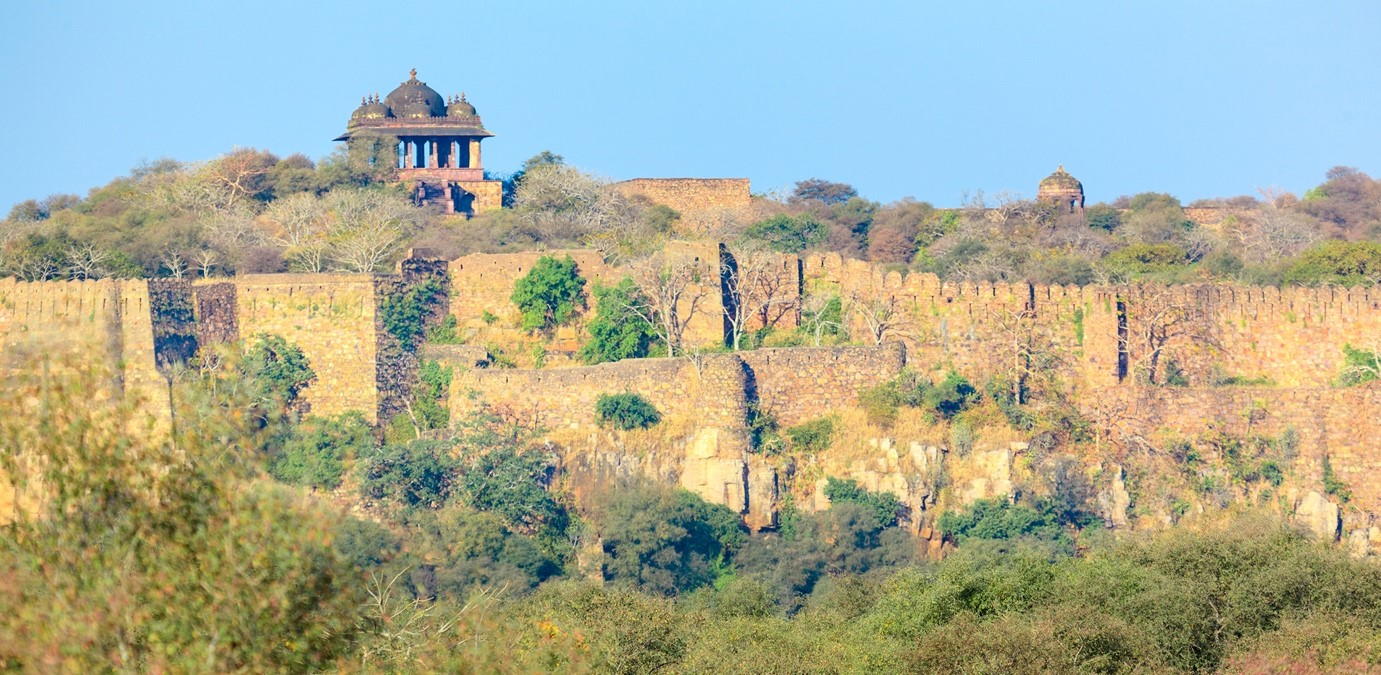 Ramparts of Ranthambore Fort