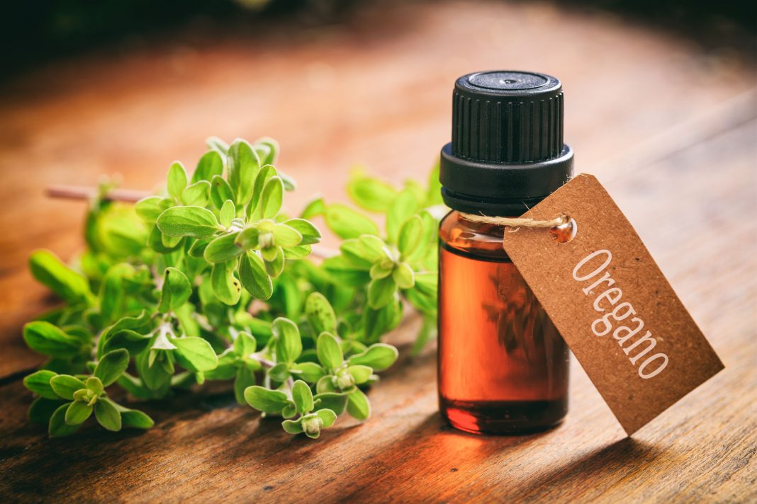 Benefits and Uses of Oregano Oil