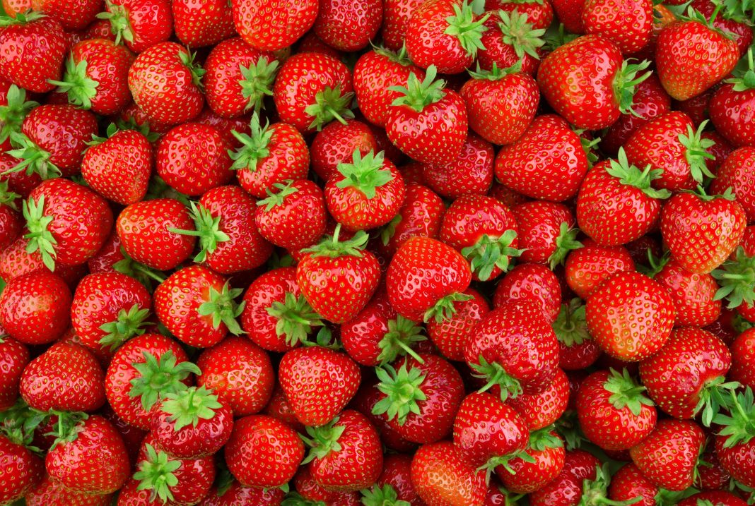 Strawberries can protect your heart and brain
