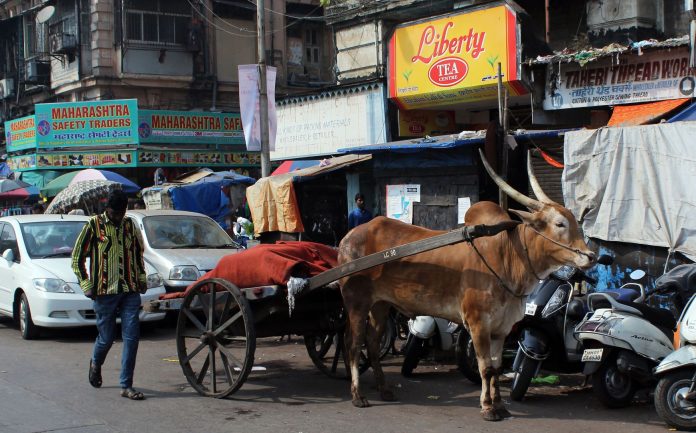 Bullock cart