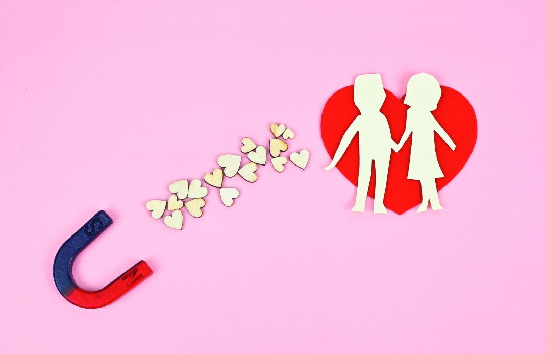 Similarities Bind? Or Opposites Attract?