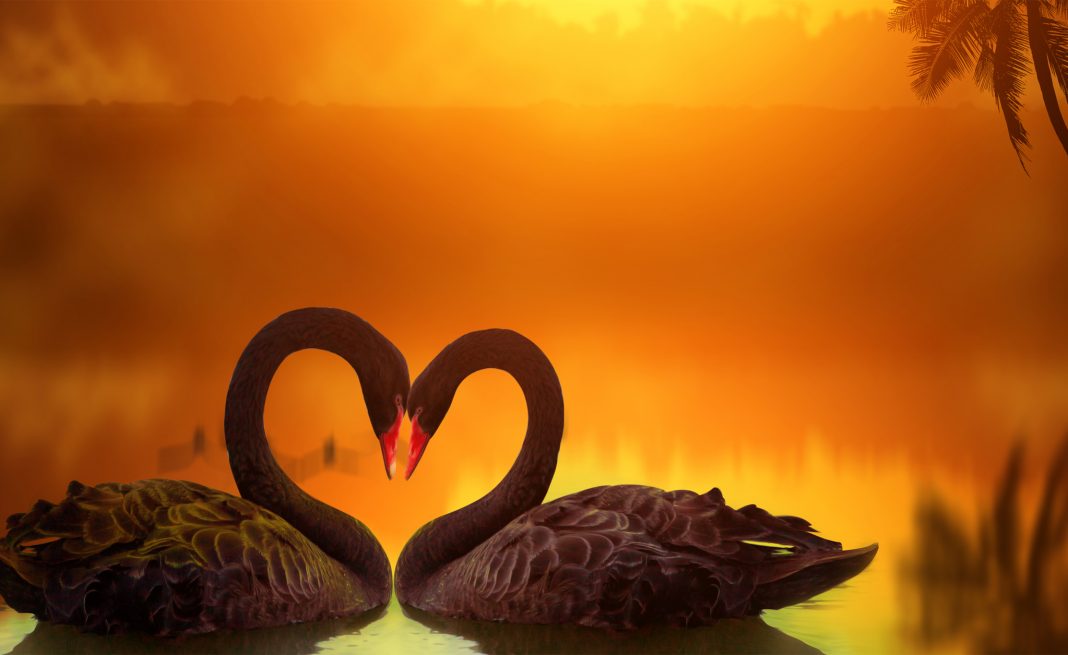 Inner Reflections: Love And Relationships