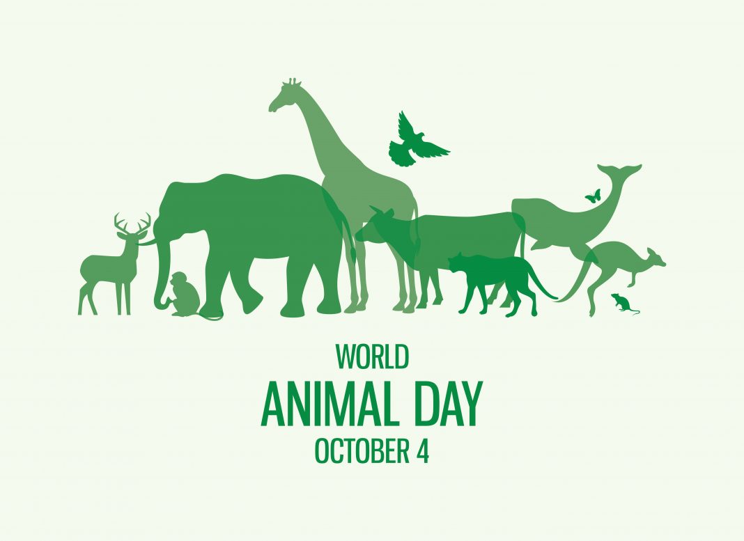 World Animal Day, October 4