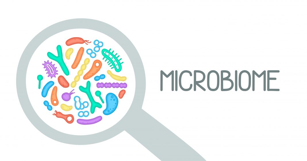 Gut Microbiome