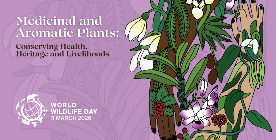 World Wildlife Day, March 3, 2026