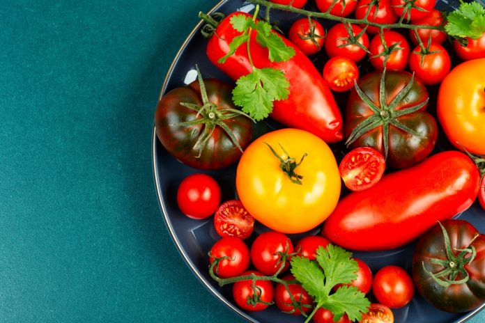 Colorful assortment of fresh tomatoes and peppers on a dark plate with cilantro
